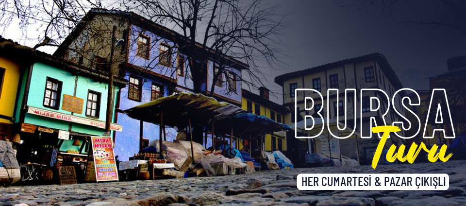 bursa